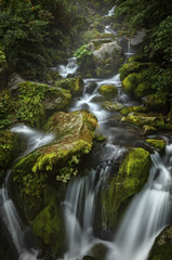 waterfall in forest