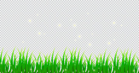 Fototapeta premium Spring grass on isolated background in realistic style. Border. Garden. Vector illustration design.