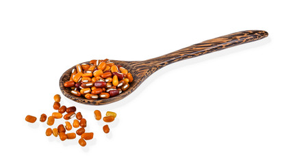 beans in wood spoon isolated on white background