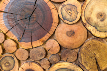 Round wooden unpainted solid natural ecological soft colored brown and yellow crackled stumps...