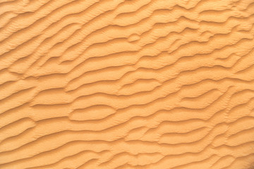 Fototapeta na wymiar Detail of sand dune texture