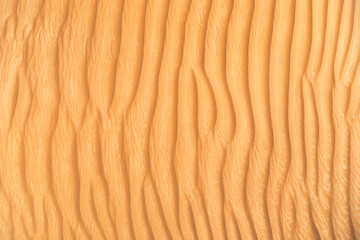 Detail of sand dune texture