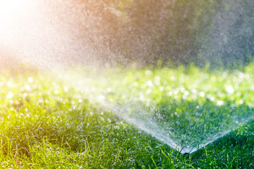 Lawn water sprinkler spraying water over lawn green fresh grass in garden or backyard on hot summer day. Automatic watering equipment, lawn maintenance, gardening and tools concept. - obrazy, fototapety, plakaty