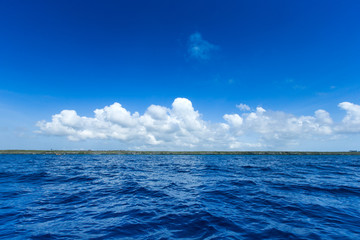 Fototapeta premium sea in Zanzibar beach