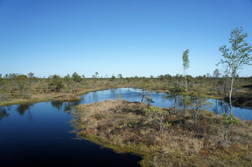 The Great Kemeri Bog.Kemeri National Park.Latvia.