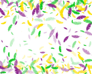 Mardi Gras carnival flying feather vector background. Holiday greeting cards, festive invitations, posters, prints, banners flying plumelet. Mardi Gras feather in green, yellow gold and purple violet.