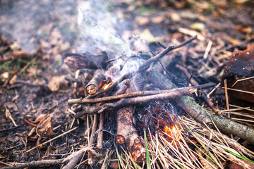 A small fire in the autumn forest
