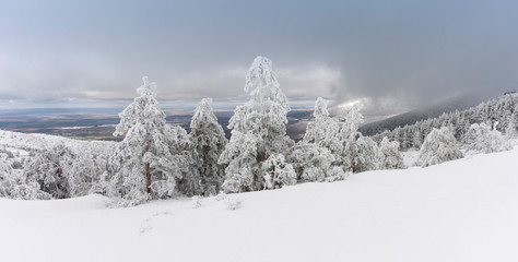 Fototapeta na wymiar Vista panorámica de paisaje de montaña con arboles y nieve