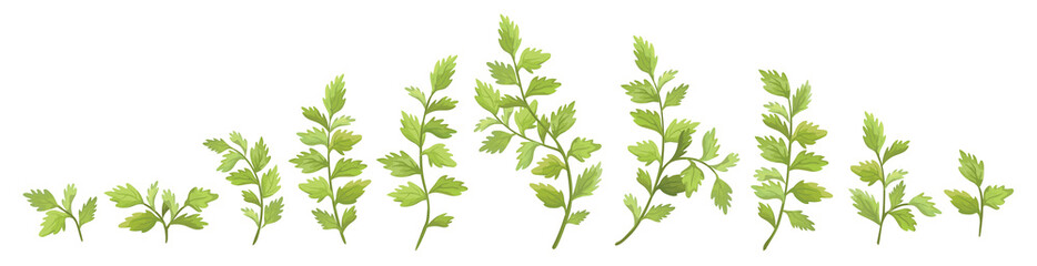 Vector designer elements set collection green branch with leaves. Decorative beauty elegant illustration for design leaf in watercolor style 