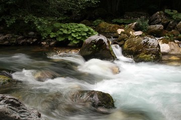 Crni Drim River in Macedonia