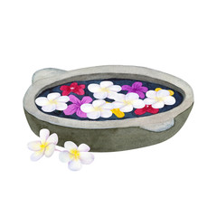 Obraz na płótnie Canvas Stone bowl for ablution with flowers. Bowl for spa with frangipani or plumeria. Hand drawn watercolor illustration. Isolated on white background.