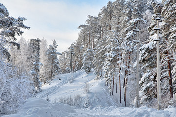 deep snow in winter forest