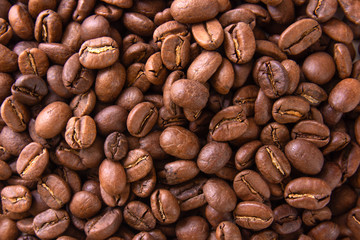 close up texture patern coffee beans isolated on white