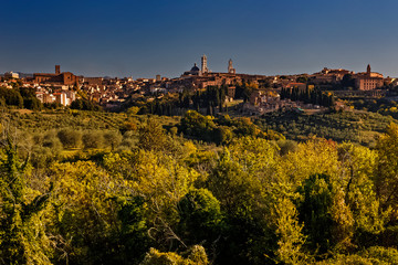 Siena, Toskana, Italien, Dom und  Torre del Mangia, von Agostoli aus gesehen