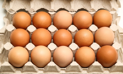 Fresh chicken eggs in paper tray isolated on white background