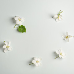 Apple flowers spring background for congratulations on mother's day. copy space