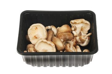Shitake mushrooms in a carton