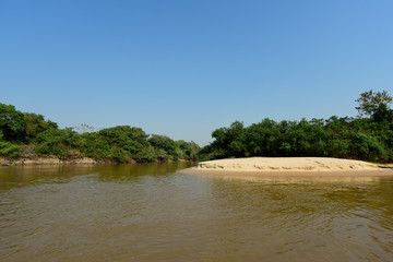 Pantanal forest ecosystem, Mato Grosso, Brazil