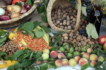 Garden harvest of homegrown produce