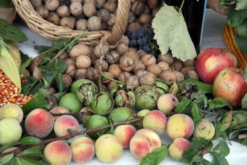 Garden harvest of homegrown produce