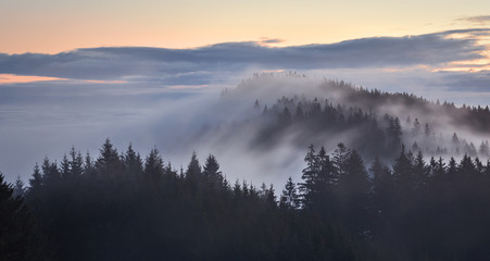 Dark coniferous forest with fog and clouds at dawn. Bavaria, Germany