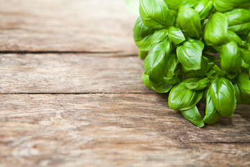 basilic espace texte