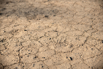 植物が育たないほど乾燥してカサカサになった、ひび割れたなった水分不足の土