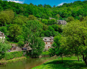Fototapeta na wymiar Belcastel medieval town, trees and houses with sunlight, Aveyron, France