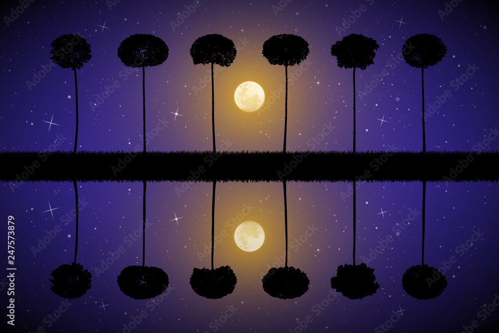 Canvas Prints vector landscape with trees on moonlit night. illustration with silhouettes of maples reflected in w