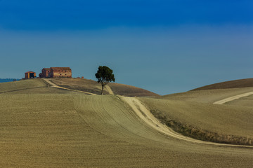 Fototapeta na wymiar Siena, Toskana, Italien, Landschaft bei Taverne d’Arbia, Site Transitoire , leonina, Herbst