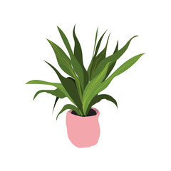 potted houseplant vector illustration. pot plant.