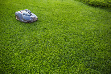 automatic lawn mower robot moves on the grass, lawn. side view from above, copy space - obrazy, fototapety, plakaty