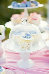 cupcakes with cream and flower decorations
