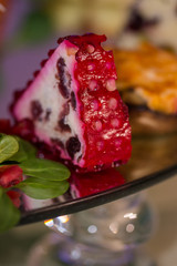 chicken gelatin with cranberries and  beet