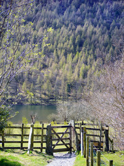 Fototapeta premium Gate to Buttermere, Lake District, Cumbria