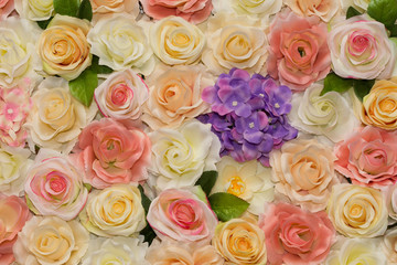 Artificial Orchid  background. Elegant style floral.flowers bed for  wedding