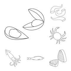 Isolated object of food and sea symbol. Collection of food and healthy stock vector illustration.