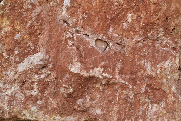 stone brown background 