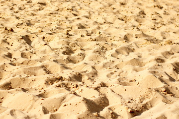 Background image: pure fine yellow sea sand
