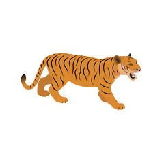 Tiger vector illustration