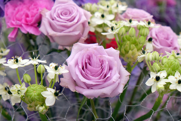 Flowers in the garden