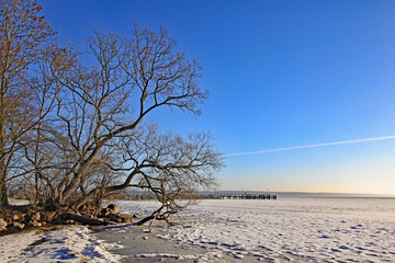 Winterstimmung an der Müritz (Mecklenburg-Vorpommern)