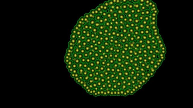 Microscopic life, virus, algae, cells, bacteria , multiplying , reproducing , growing, spreading. 3d animation rendering.
