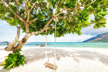Empty tropical beach with wooden swing on exotic tree