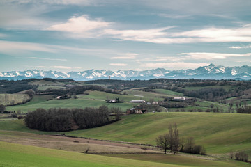 Fototapeta premium paysage gersois avec vue sur les Pyrénées