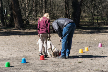 Kiev, Ukraine - April 04, 2018: Dog training in the city park.