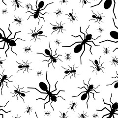 Seamless pattern of the random silhouette black ants. Vector illustration. Isolated on white background.