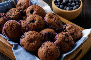 Homemade chocolate muffins with blueberries.