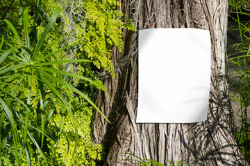 blank white poster on tree trunk , empty sign mockup with nature background  -