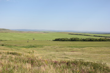 Obraz premium природа